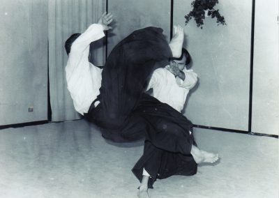 locandina Aikido